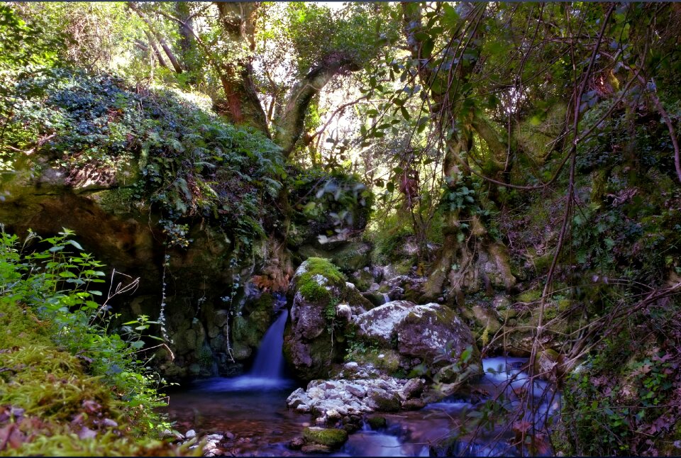 Water river trees