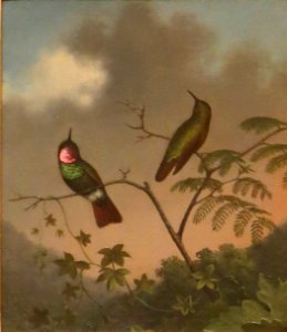 Brazilian Ruby by Martin Johnson Heade