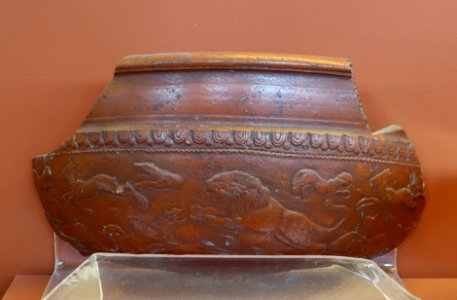 Bowl fragment, Samian ware, 1st century AD, red pottery or terra sigillata - Redpath Museum - McGill University - Montreal, Canada - DSC08158