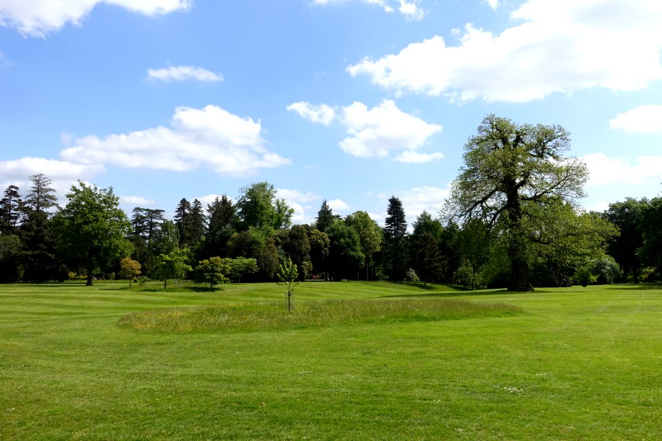 Bowood lawn and pinetum - Wiltshire, England - DSC00354