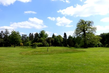 Bowood lawn and pinetum - Wiltshire, England - DSC00354