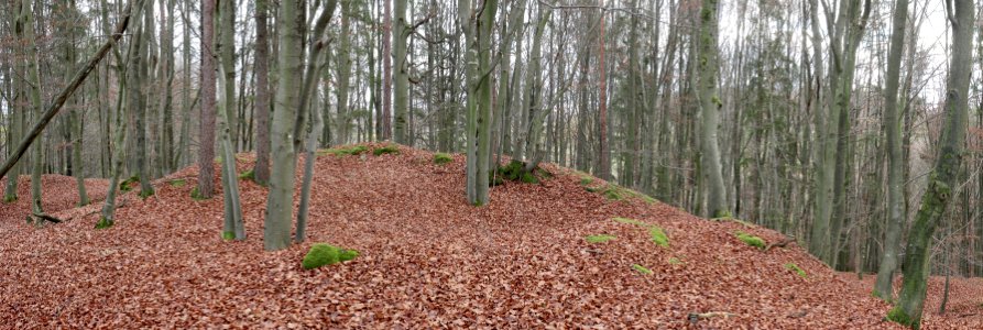 Burgstall Altes Schloss (Affalterthal)11