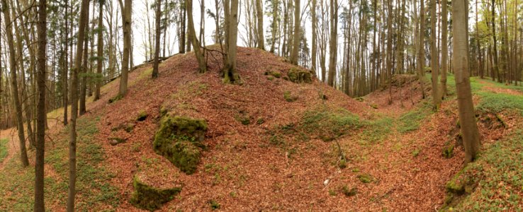 Burgstall Scharfenberg07