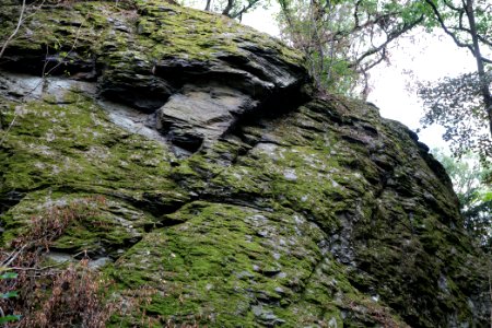 Burghain Falkenstein 2020-08-18 06