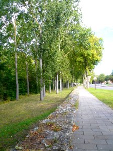 Burgos - Carretera de Logroño (Camino de Santiago) 18