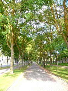 Burgos - Carretera de Logroño (Camino de Santiago) 14