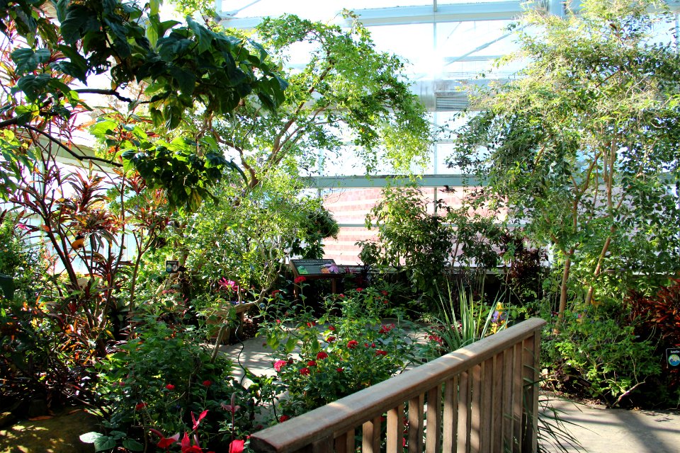 Butterfly garden tenn aquarium
