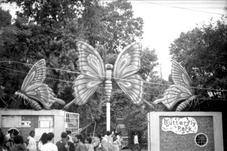 Butterfly Park at Kankaria