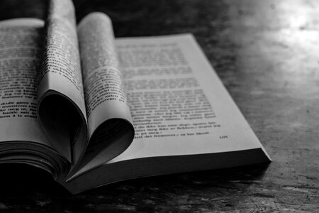 Gray book gray books gray reading