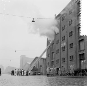Brand Rijnhaven Rotterdam, Bestanddeelnr 908-9663