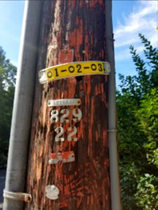 Bus stop - Utility pole - Arlington, MA - 20200729 090114