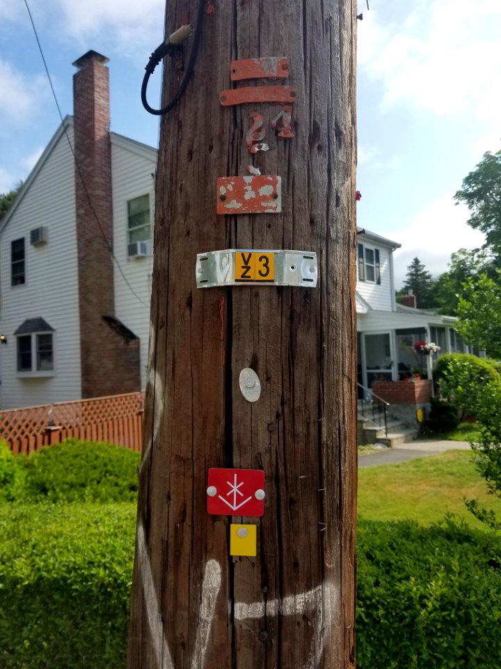 Bus stop - Utility pole - Arlington, MA - 20200606 084349