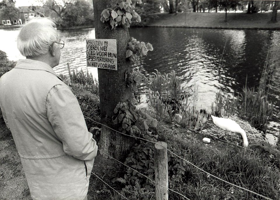 Zwanennest op de Kloppersingel. Aangekocht in 1987 van United Photos de Boer bv. - Negatiefnummer 27661 K 17A. - Gepubliceerd in het Haarlems Dagblad van 21.05.87