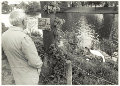 Zwanennest. NL-HlmNHA 54015320