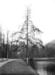 Zwanenbrug, park Sonsbeek Arnhem, Bestanddeelnr 192-0623