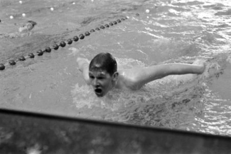 Zweedse zwemmer, Bestanddeelnr 923-4518 photo