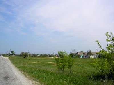 Zybiny 4