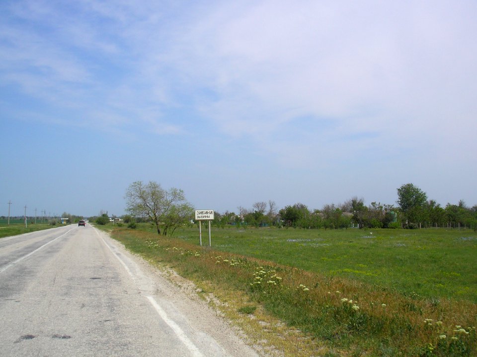 Zybiny 1