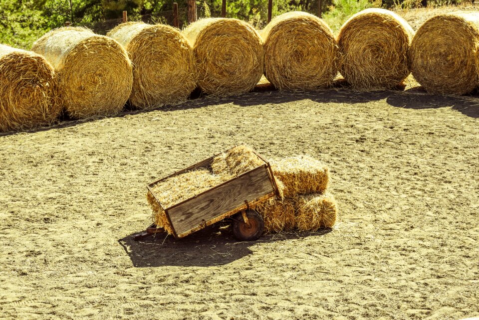Farm rural agriculture