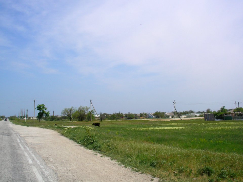 Zybiny 5