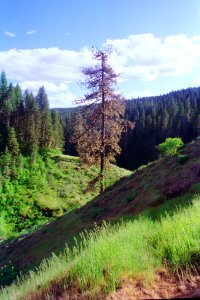 04-25-20-elk-creek