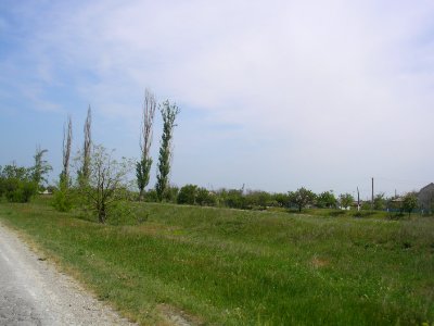 Zybiny 8