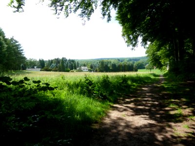 Zyklopensteine-uitzicht-nabij