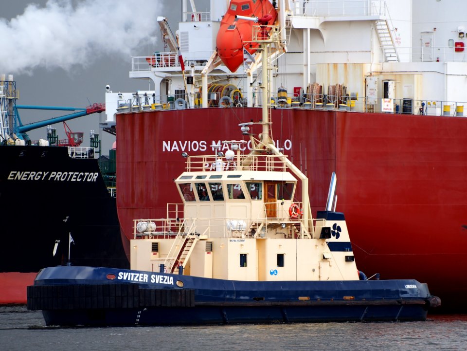 Zwitser Svezia, IMO 8521141, Mercuriushaven, Port of Amsterdam pic4