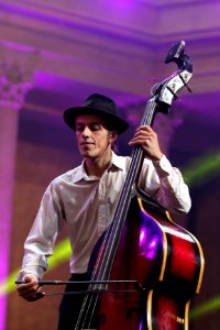 Zwirbeldirn Heimatsound Festival 2015 (08)