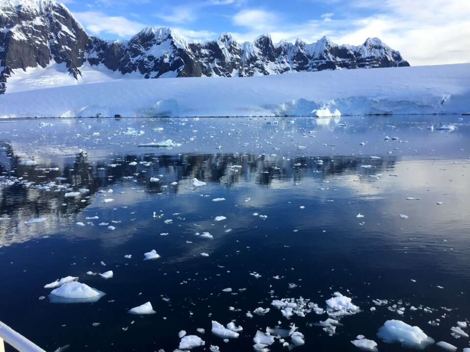Cold white nature