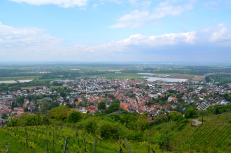 Zwingenberg vom Luciberg