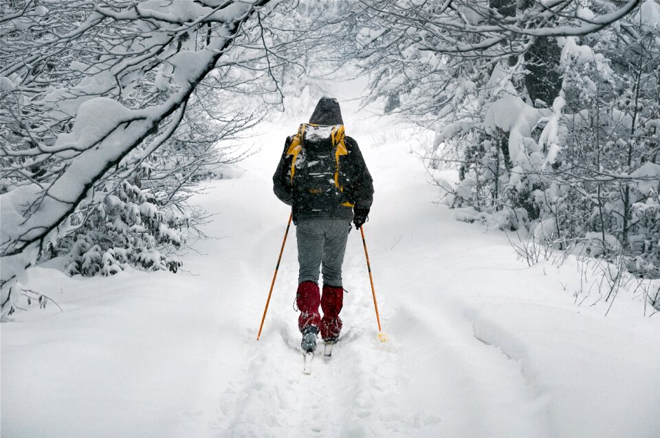 Wandering tracking snow