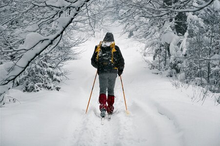 Wandering tracking snow