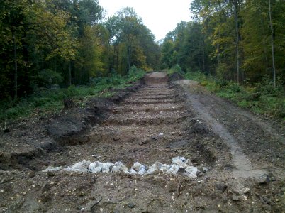 Zwenkauer Eichholz Brückenabriss 3b Segmentbogenbrücke 2015-10