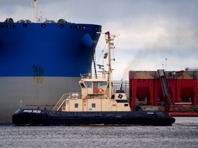 Zwitser Svezia, IMO 8521141, Vlothaven, Port of Amsterdam