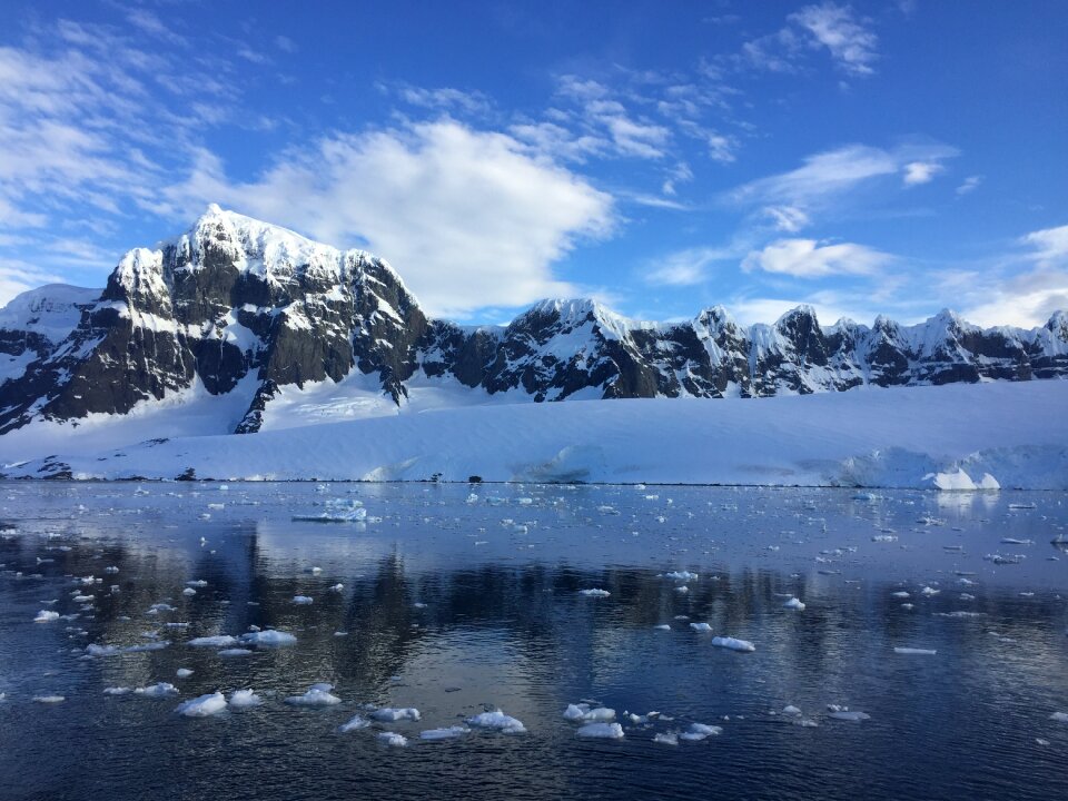 Cold white nature