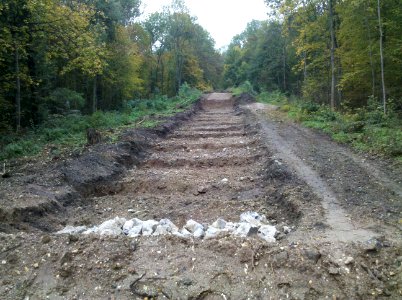 Zwenkauer Eichholz Brückenabriss 3c Segmentbogenbrücke 2015-10