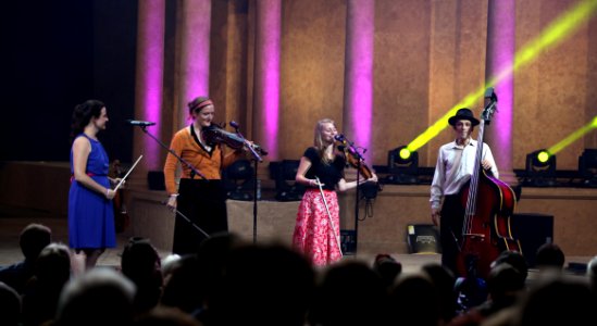 Zwirbeldirn Heimatsound Festival 2015 (13)