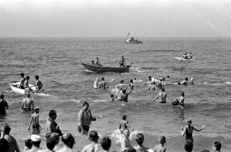 Zwemwedstrijd van Hoek van Holland naar Terheijde, de deelnemers gaan van start, Bestanddeelnr 916-6800
