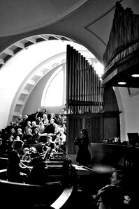 Violin violinist black and white photo