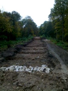 Zwenkauer Eichholz Brückenabriss 3a Segmentbogenbrücke 2015-10