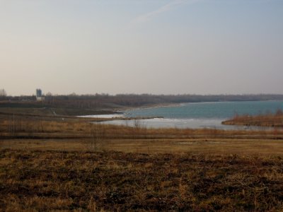 Zwenkauer See am Südwestende Anfang März 2018