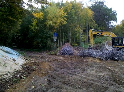 Zwenkauer Eichholz Brückenabriss 2d Brücke an der Trianongabelung 2015-10