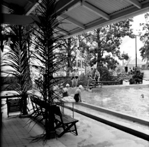 Zwembad in Suriname, Bestanddeelnr 252-5231