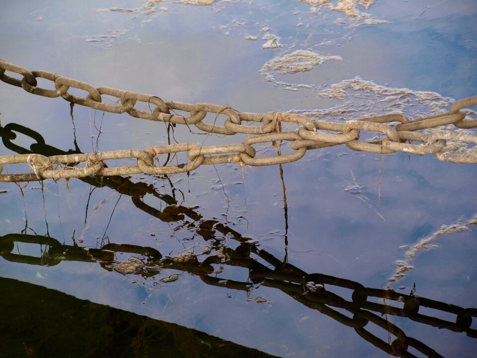 Summer nature chain