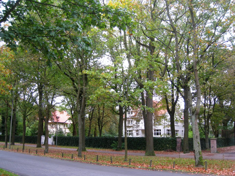 Zwartberg
