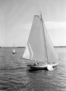 Zwaardjacht varend op een plas, Bestanddeelnr 190-1321