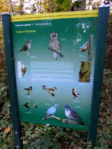 Zwenkauer Eichholz - Naturlehrpfad 04 - Vögel im Eichholz