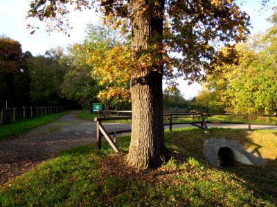 Zwenkauer Eichholz - Batschke-Floßgraben hinterm Waldbad