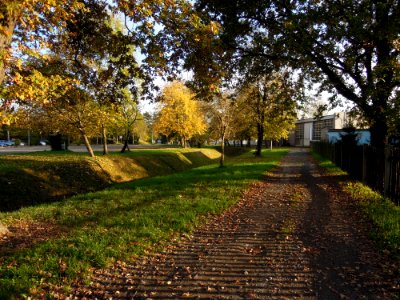 Zwenkauer Eichholz - Batschke-Floßgraben am Waldbad